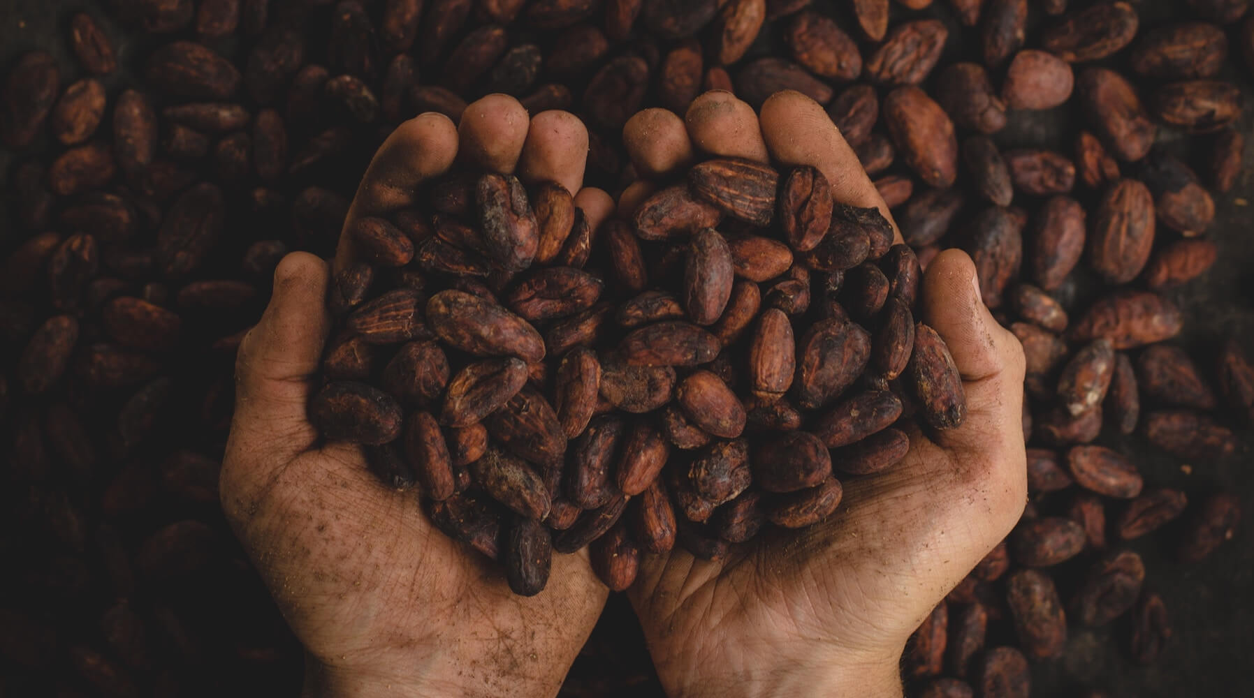 Removing Child Labor, Deforestation, and Poverty from the Cost of Chocolate