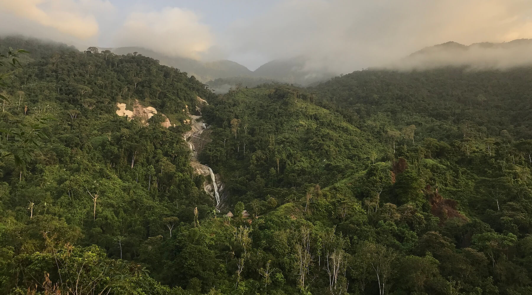 Colombia’s Forests Left Vulnerable in the Wake of Civil War